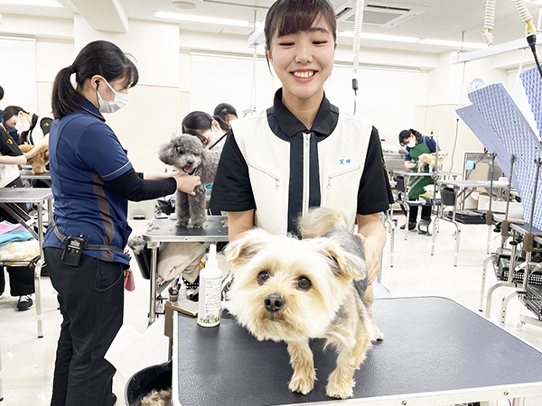 ☆先輩のトリミングを見学☆